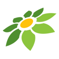TOKOPEDIA AFILIATE